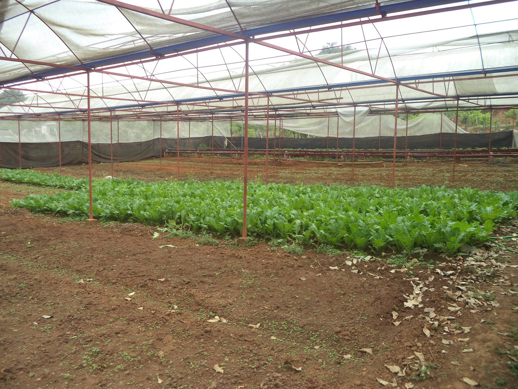 10989415 442519979280226 6629564095969938142 o