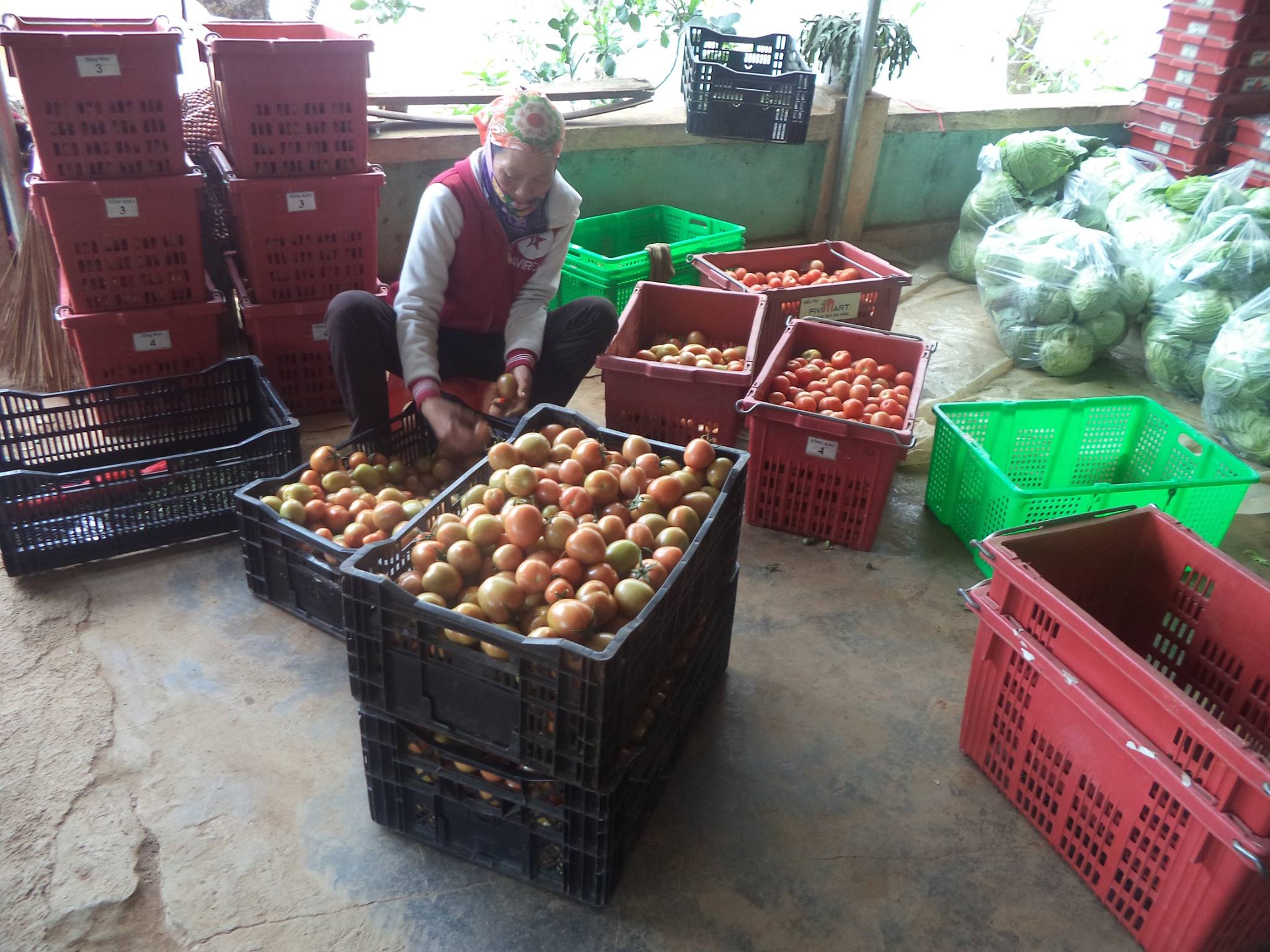 12794894 442519585946932 1291540174001345900 o