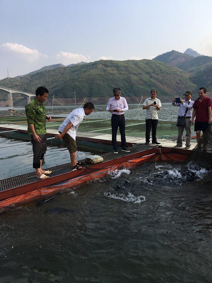 13220826 627537527394522 545228290372115505 n