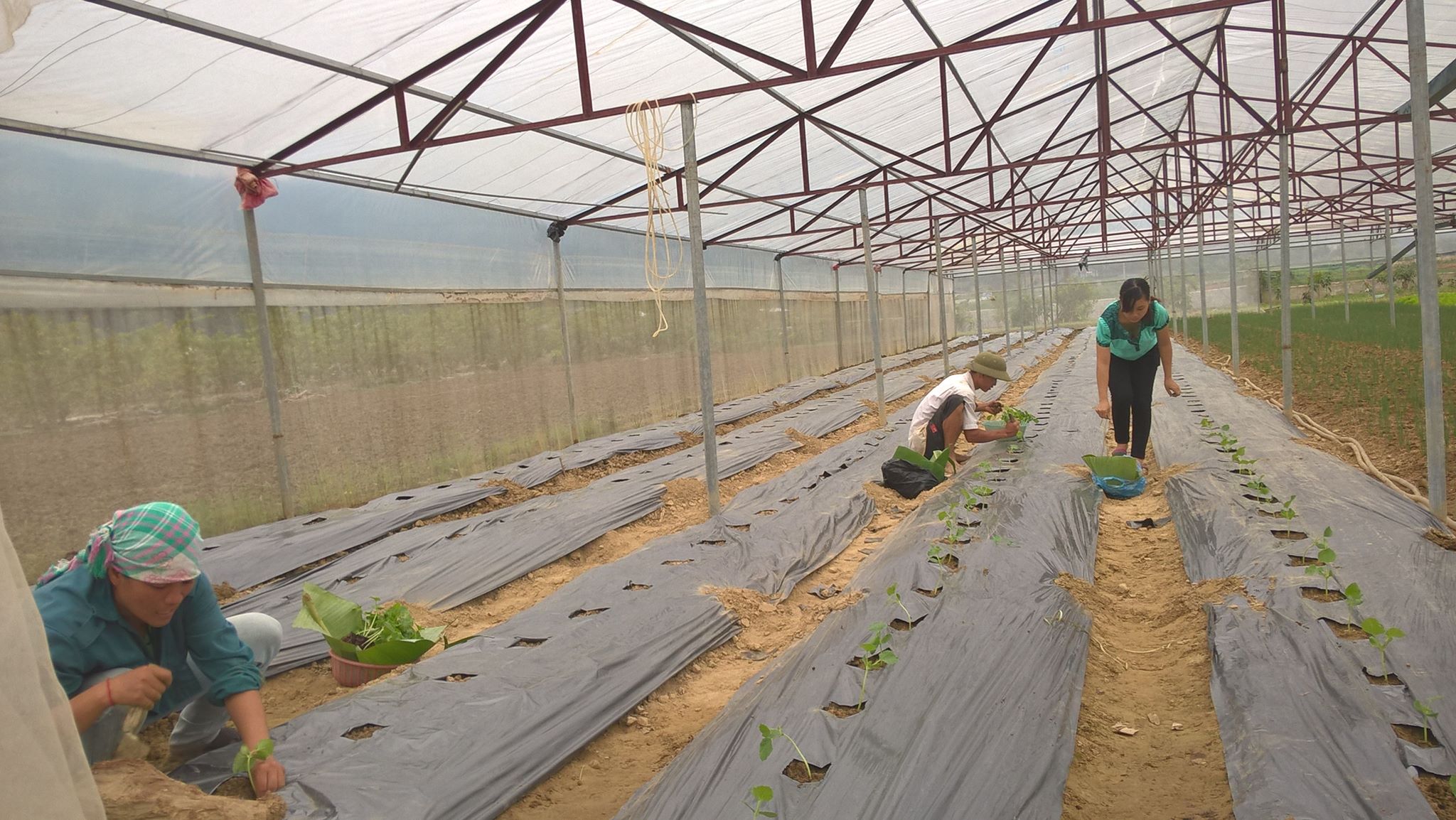 14362472 592795774256880 5283016522791266433 o