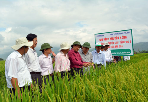 147073724131110-dv-chinh