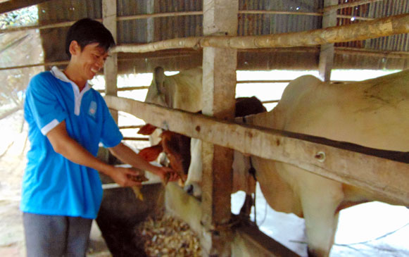 147143197981237-dv--1