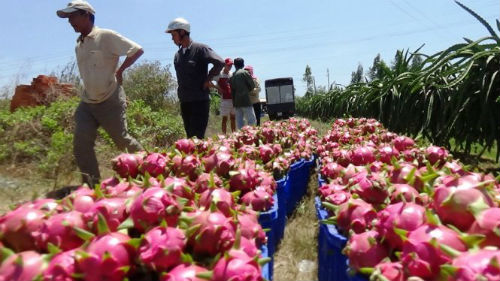 147338823063876-long