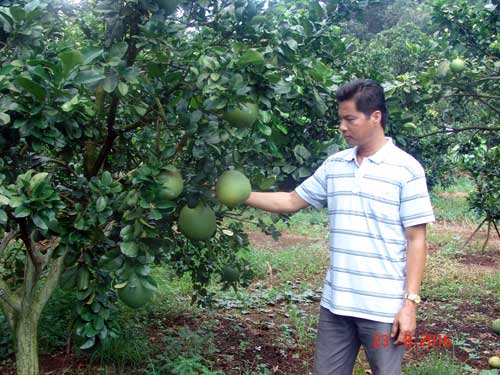 147548677417560-dv-chinh