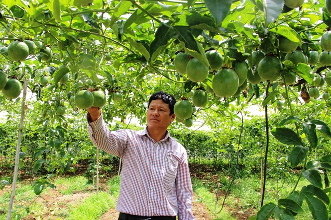 16-48-09 nh-gui-chnh-dy-dk-nong