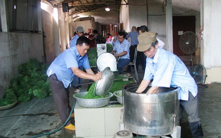 4 van de can giai quyet cua htx kieu moi 44