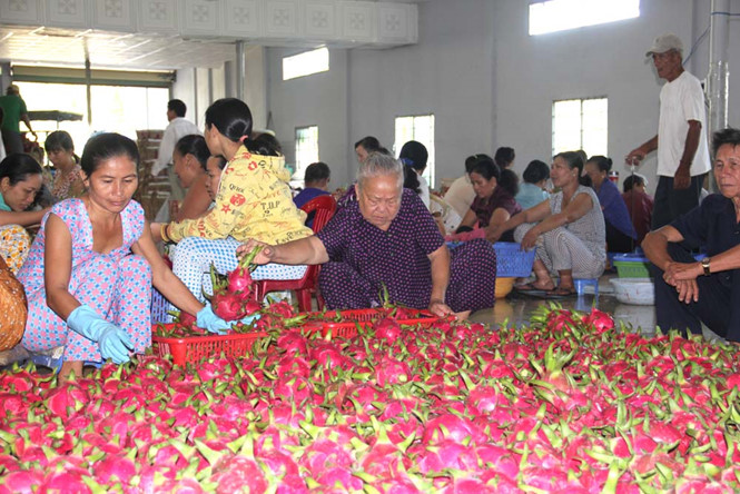 5b3811625danh 2 pily