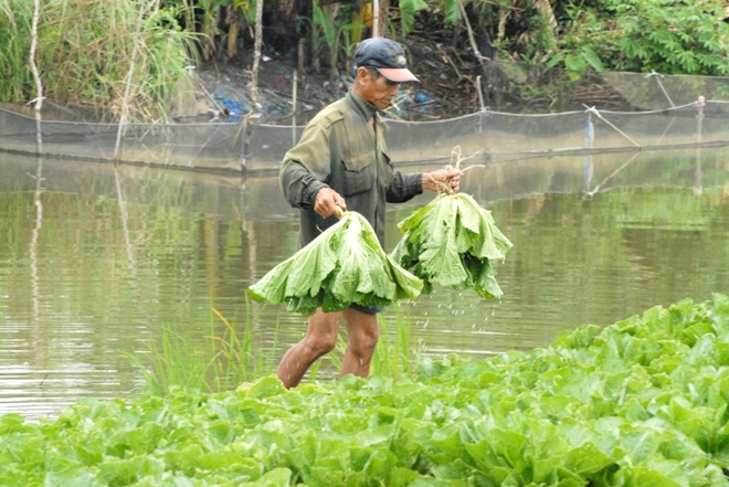 5d0eabcb5145fd9795b21c5000fa4e