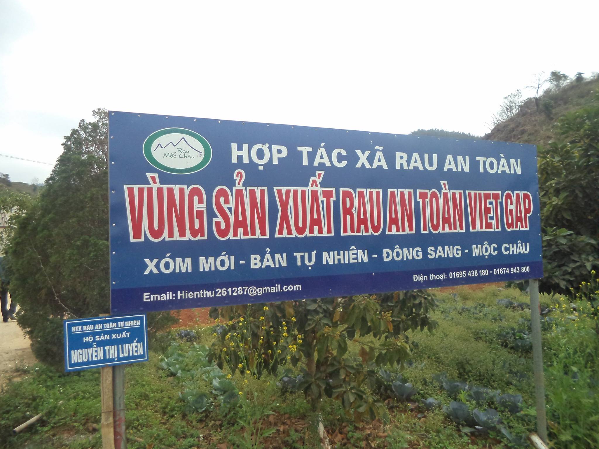 774906 442519469280277 3992690106012838557 o