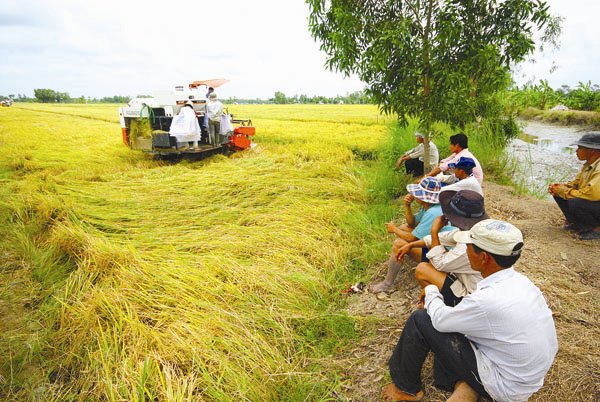 8c6ac tai cau truc nong nghiep