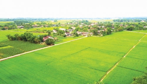 a01a57fc6f4cfc85d6df7eb51dcafc1c untitled