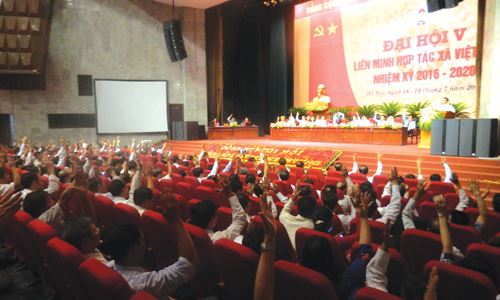 anh bai chinh-20160807-17082338