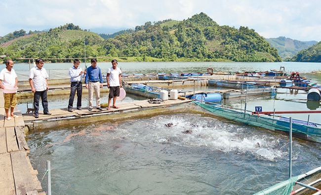 bad515e7e827ebefd01bbb15150c609c