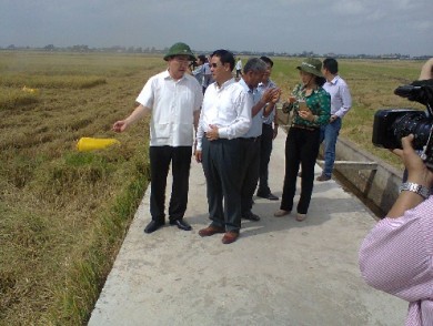 htx tan binh dong thap 390 294