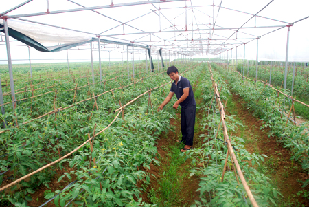 linkthang10htxkieumoi1