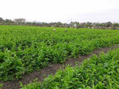 newsoutside-26-3-20178-8098-1490596074