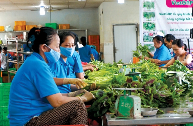 w620h405f1c1-files-articles-2016-1099440-htx-phuoc-an-out